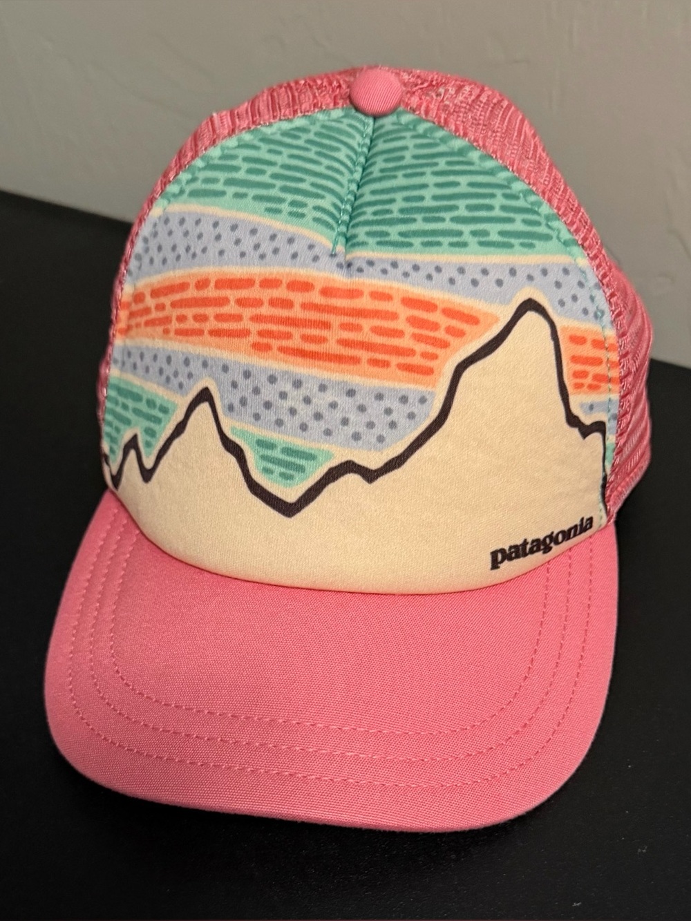 Patagonia Trucker Hat